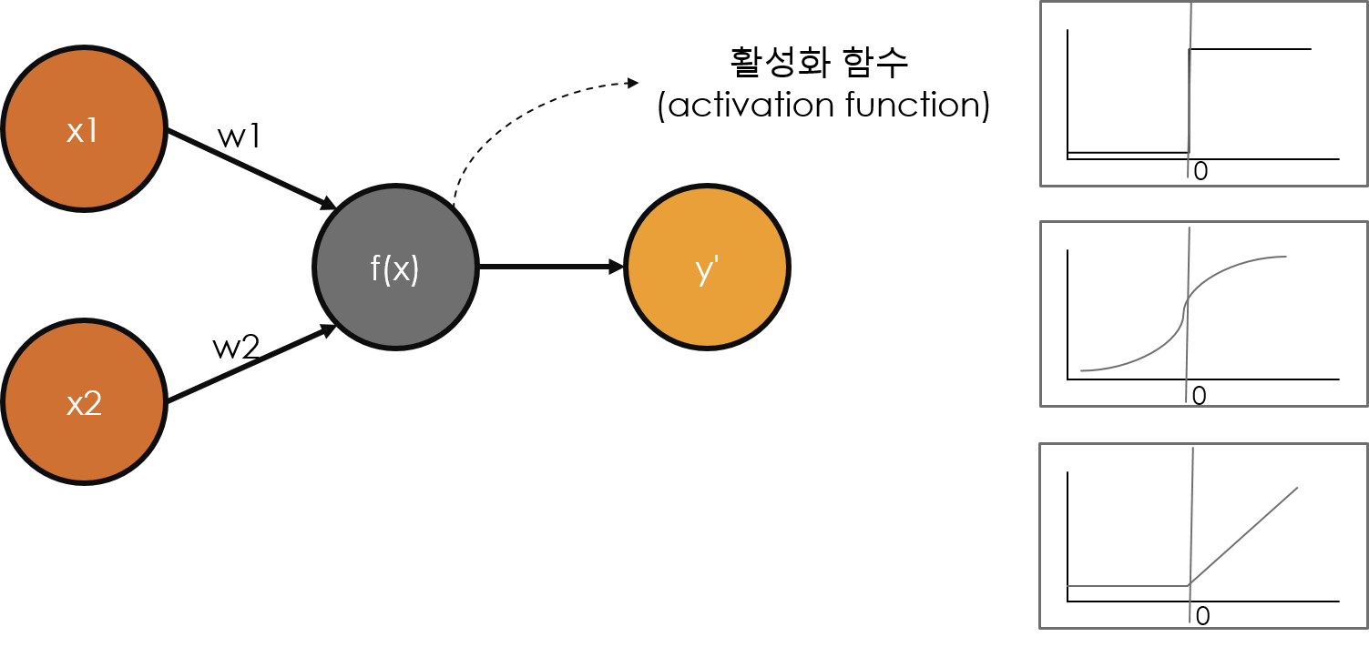 "Activation Function"