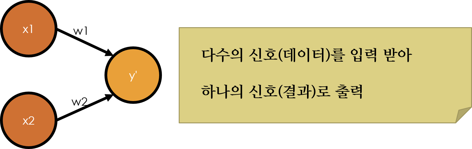 "퍼셉트론 (Perceptron)"